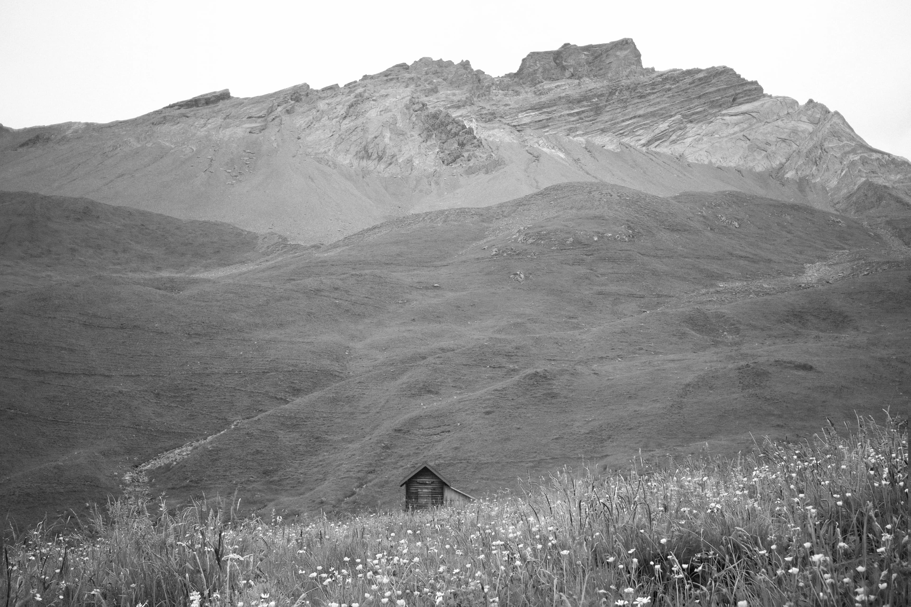 The same scene with a meadow of wildflowers in the foreground